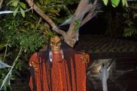 /album/decora%c3%a7%c3%a3o/ajizfkwd-yr3nsrusis-ldfzmoxee7iab-xtmcsgcefj-jpg/