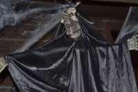 /album/decora%c3%a7%c3%a3o/an2-lsyjvruy8bm4njupw6jmxxrjpst2g2nykbdb20gv-jpg/