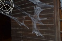 /album/decora%c3%a7%c3%a3o/anuxxoq6ujsnqvxsch2hnrvn8mqrbpbaexnko8m8bhva-jpg/