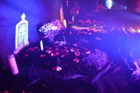 /album/decora%c3%a7%c3%a3o/aooihrz6sgrhxsd1vnsxpvuhrdheewchs8naq0rjicm9-jpg/